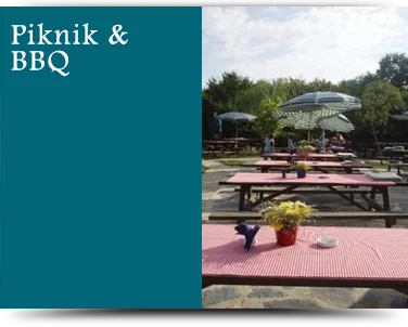Flying Chef Piknik ve BBQ